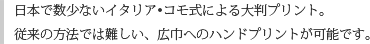 日本で数少ないイタリア・コモ式による大判プリント。従来の方法では難しい、広巾のハンドプリントが可能です。